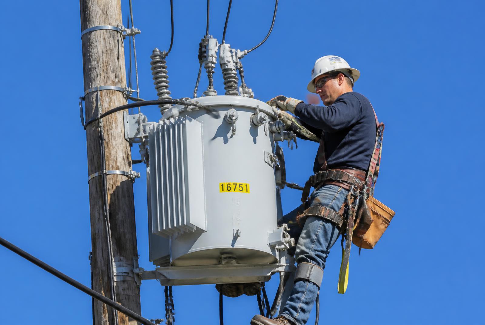 Distribution point wired with quality house wires